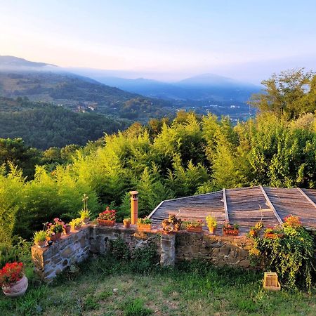 Agriturismo I Pitti Serravalle Pistoiese Экстерьер фото