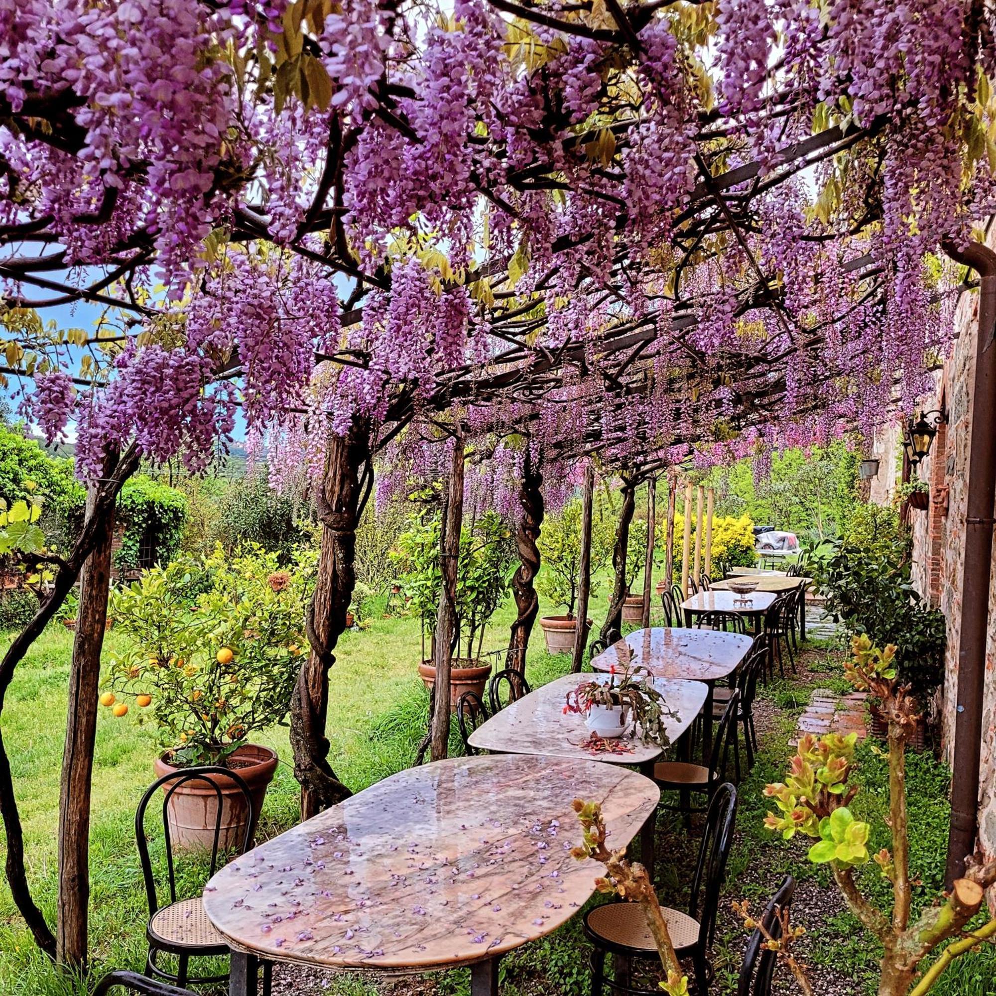 Agriturismo I Pitti Serravalle Pistoiese Экстерьер фото