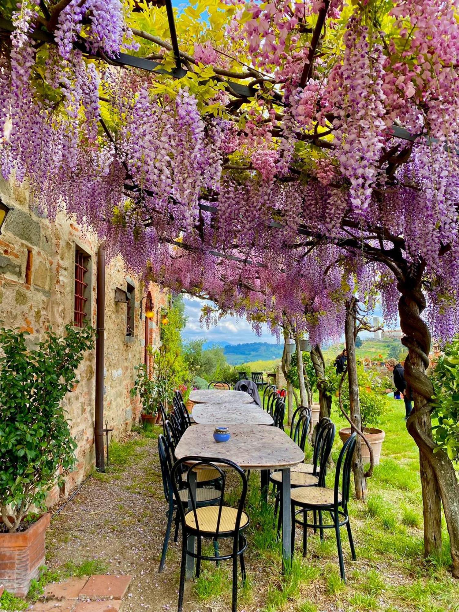 Agriturismo I Pitti Serravalle Pistoiese Экстерьер фото