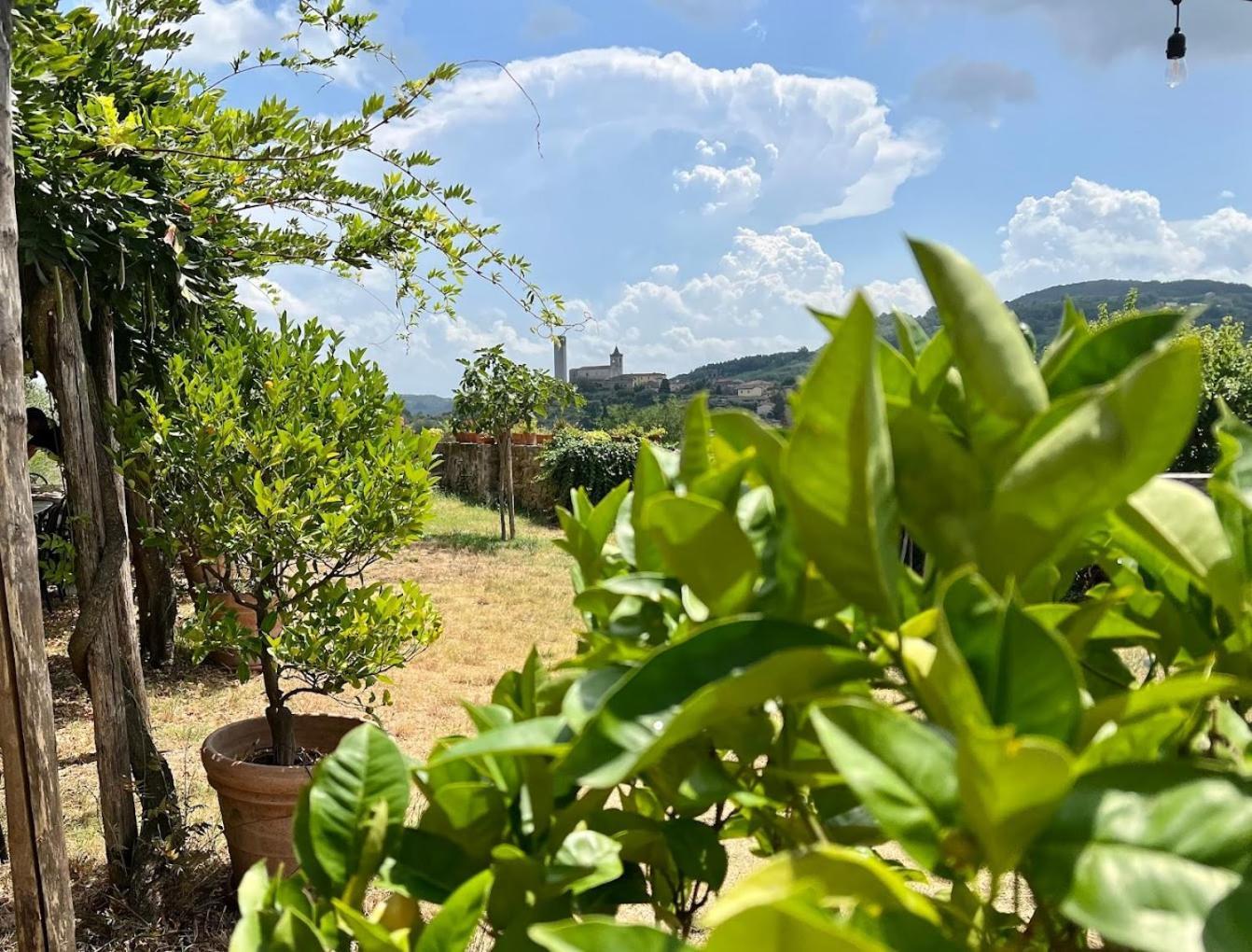 Agriturismo I Pitti Serravalle Pistoiese Экстерьер фото